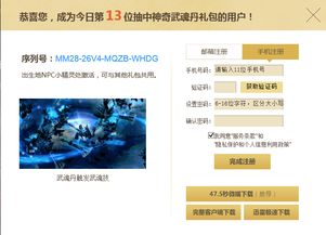 “神奇武魂丹礼包”背后的真相 同一串激活码的惊人秘密